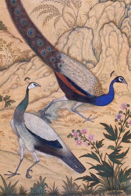 Peacock and peahen, complete painting