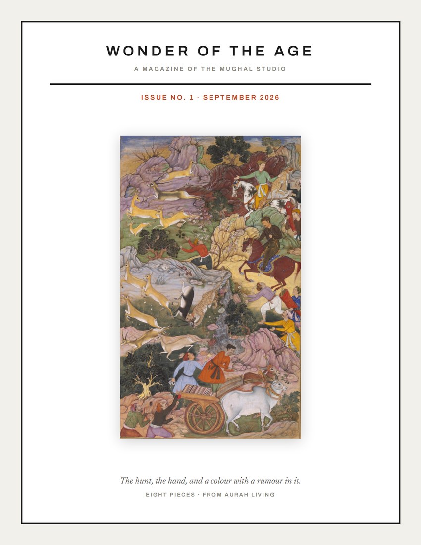 Wonder of the Age — Issue No. 1, the printed edition